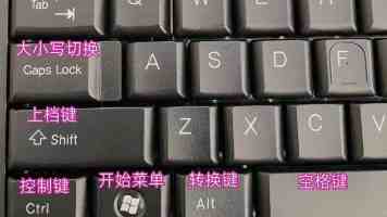 河南太康：麦收时节的爱心餐