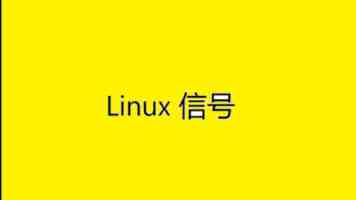 中国X站入门｜功能板块、注册流程与避坑提醒