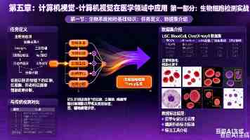 香蕉社区id:1120.7126,1025,7126 如何注册登录？隐藏功能与防封技巧全解析